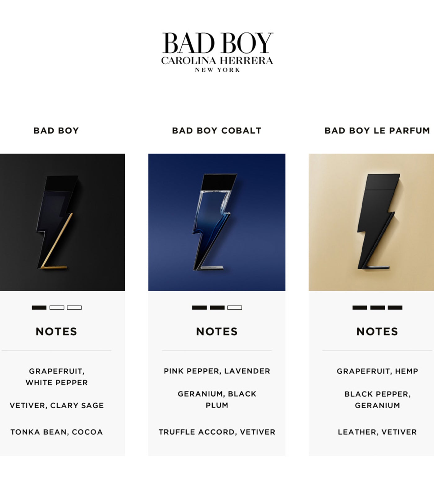BAD BOY Cobalt Eau de Parfum