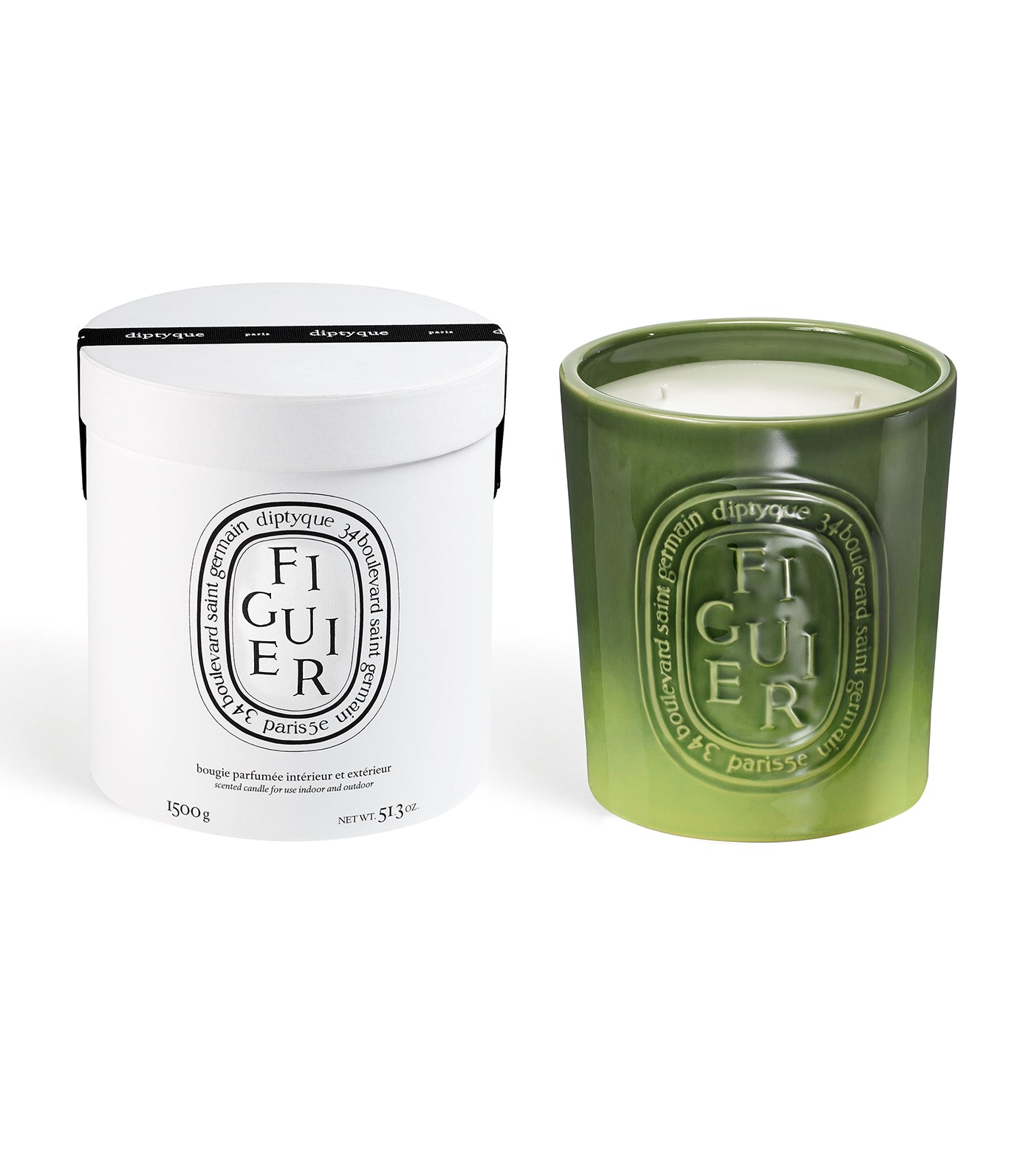 Figuier / Fig Tree Candle Indoor & Outdoor