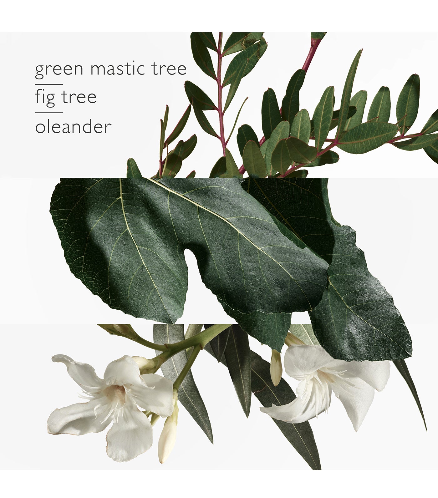 Hermes un jardin en mediterrane Clearance