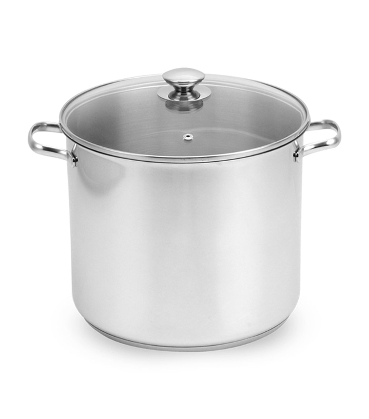 lifestyle silver stainless steel stockpot with glass cover