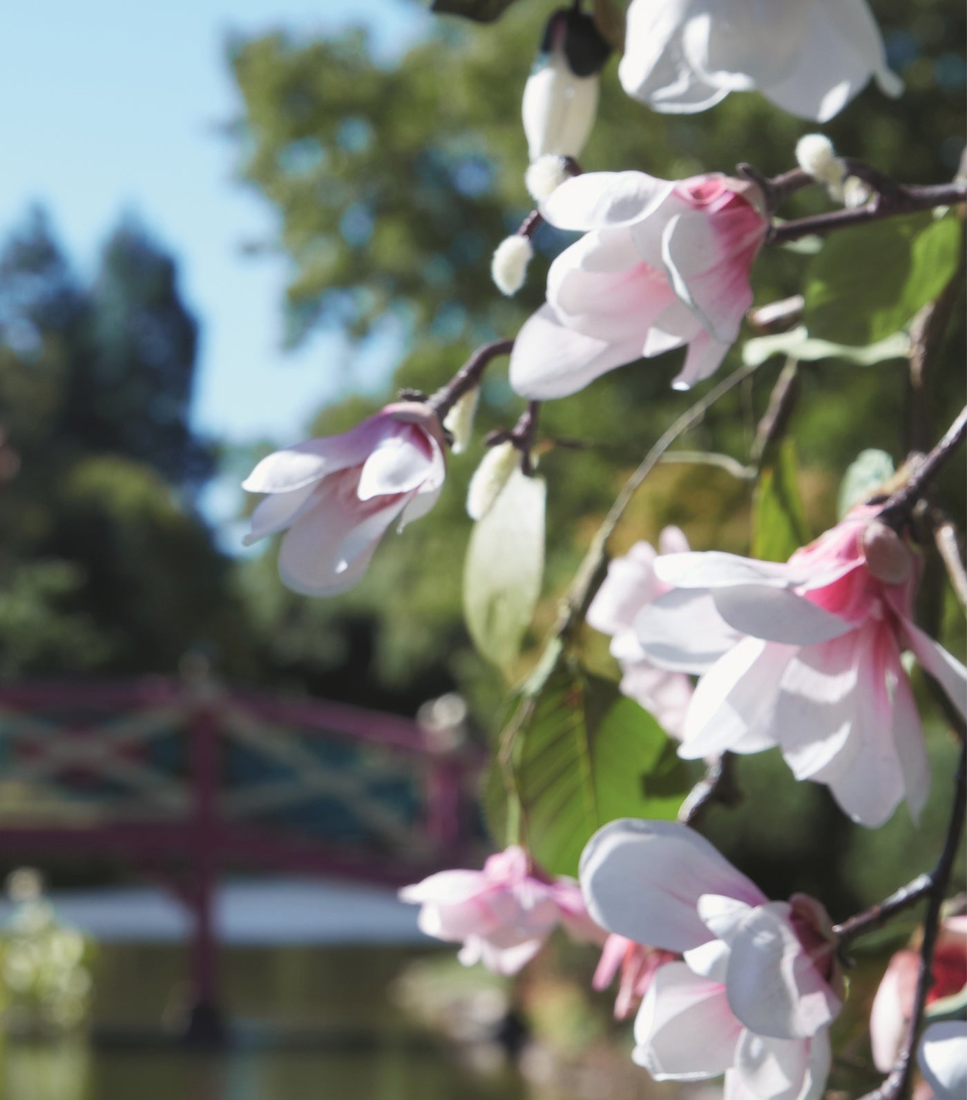 Maison Margiela Paris Replica Springtime In A Park Eau de