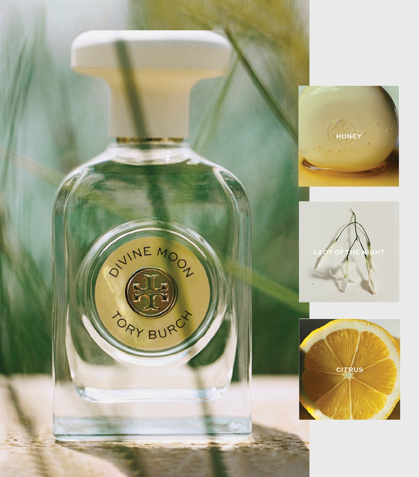 Tory burch discount divine moon perfume